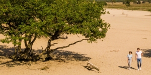 ​Struinen through the Loon and Drunense Dunes